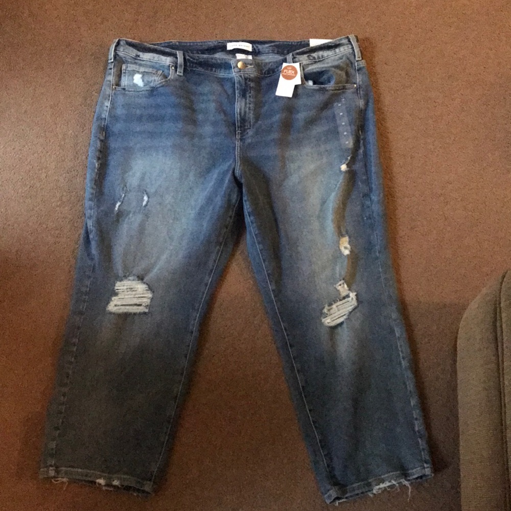 Lane Bryant Denim